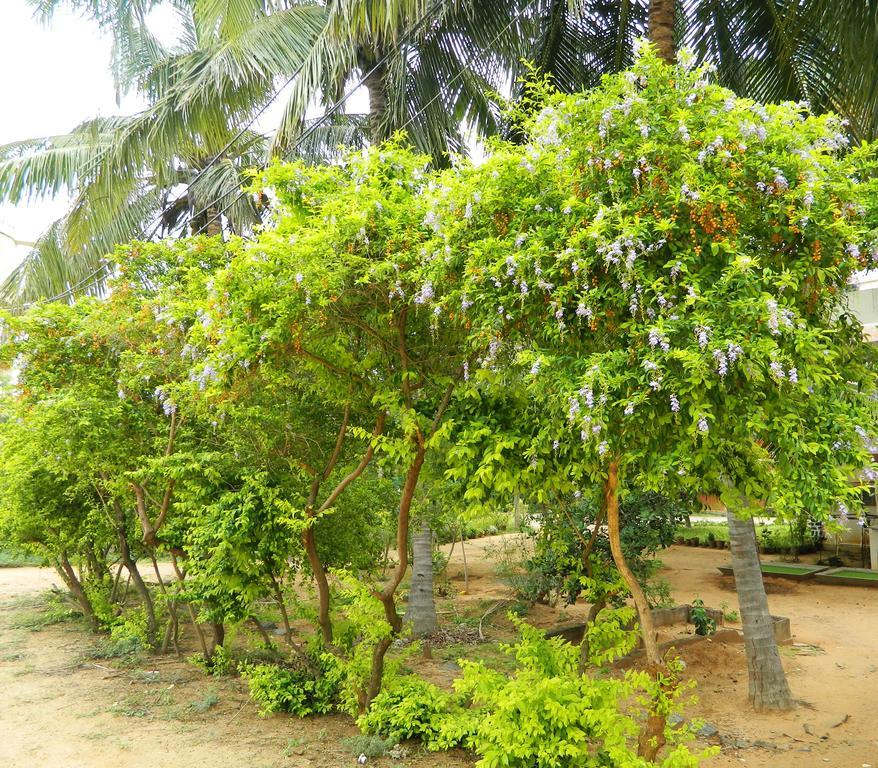 Stella Maris B&B Kanyakumari Exterior photo