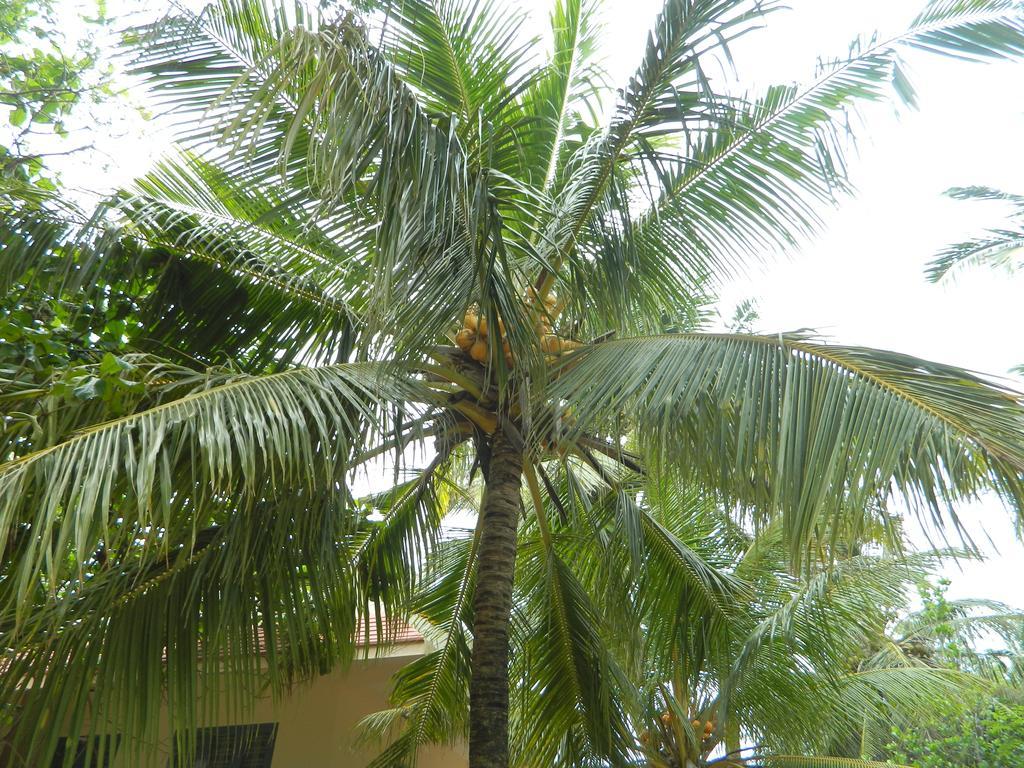 Stella Maris B&B Kanyakumari Exterior photo
