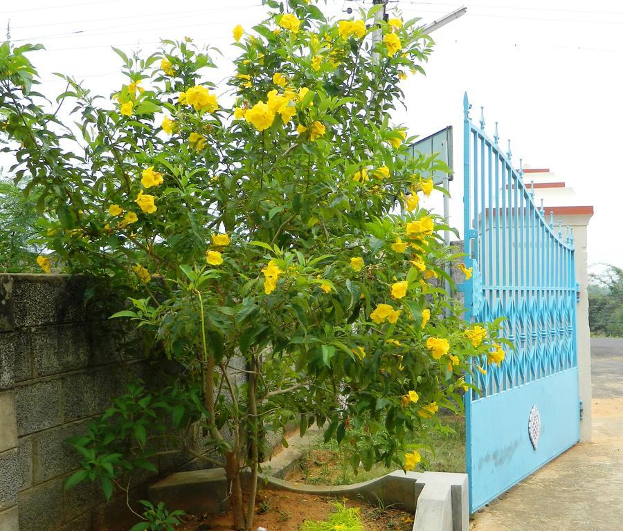 Stella Maris B&B Kanyakumari Exterior photo